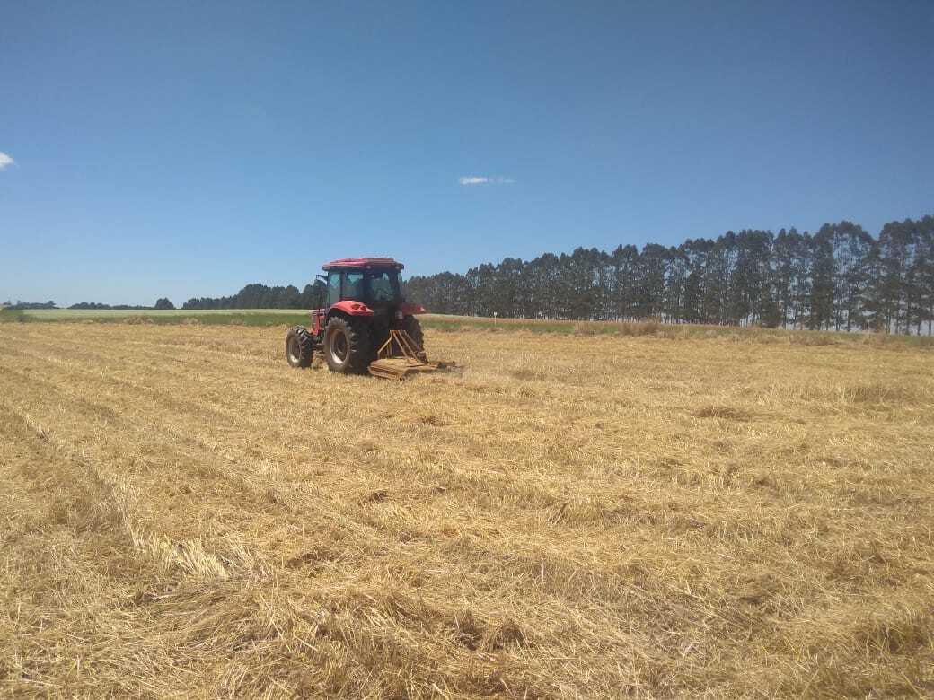 Cuidados com o solo são fundamentais para uma maior produtividade, aponta pesquisadora da UEPG