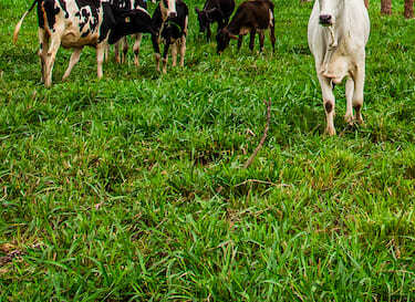 Gestão de Recursos Humanos