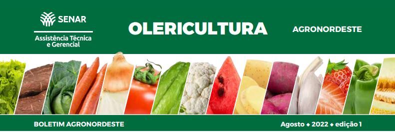 Clique para abrir o PDF