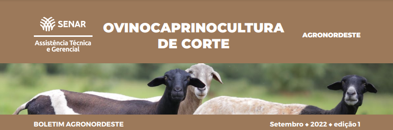 Clique para abrir o PDF