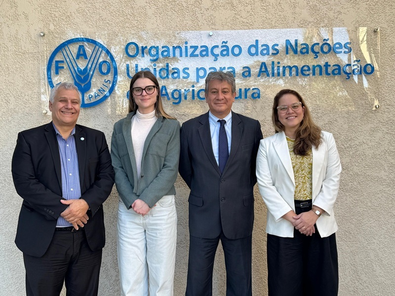 CNA e FAO se reúnem em Brasília