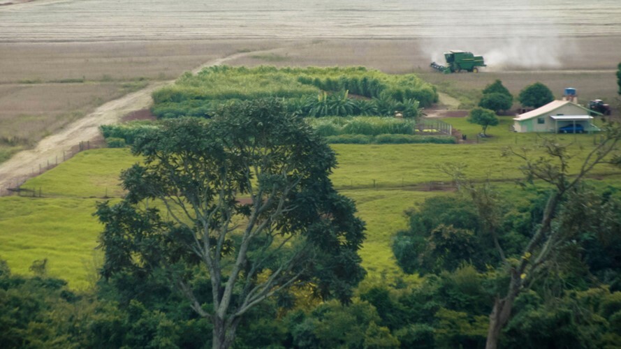 CT de Meio Ambiente debate mudanças no licenciamento ambiental e nas regras de uso do fogo